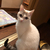 Profile picture small