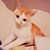 Profile picture small