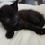 Profile picture small
