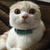 Profile picture small