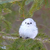 Profile picture small