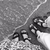Profile picture small