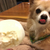 Profile picture small