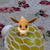 ポケモンファンクラブ