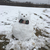 Profile picture small