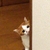 Profile picture small