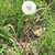 Profile picture small