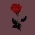 Profile picture small