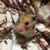 Profile picture small