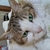 Profile picture small