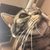 Profile picture small