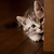 Profile picture small