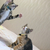Profile picture small