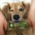 Profile picture small
