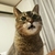 Profile picture small