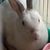 Profile picture small