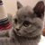 Profile picture small