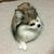 Profile picture small