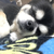 Profile picture small