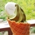 Profile picture small