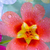 Profile picture small