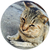 Profile picture small