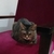Profile picture small