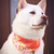 Profile picture small