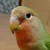 Profile picture small