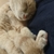 Profile picture small