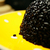 Profile picture small