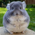 Profile picture small