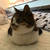 Profile picture small