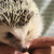 Profile picture small