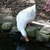 Profile picture small
