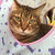 Profile picture small