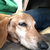 Profile picture small