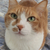 Profile picture small
