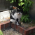 Profile picture small