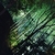 Profile picture small