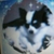 Profile picture small