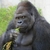Profile picture small