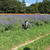 Profile picture small