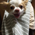 Profile picture small