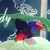 Profile picture small