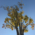 Profile picture small