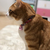 Profile picture small