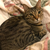 Profile picture small