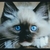 Profile picture small
