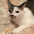 Profile picture small